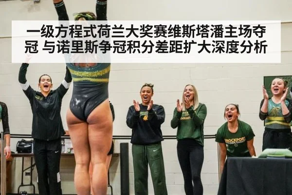 一级方程式荷兰大奖赛维斯塔潘主场夺冠 与诺里斯争冠积分差距扩大深度分析